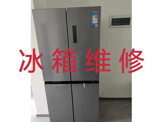 青岛专业冰箱冰柜安装